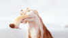 GIF animado (72880) Ardilla bellota ice age