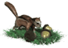 GIF animado (72881) Ardilla bellotas