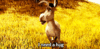 GIF animado (67938) Asno deprimido