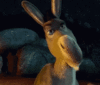 GIF animado (67940) Asno enojado
