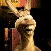 GIF animado (67941) Asno feliz