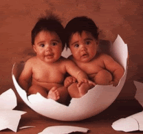 GIF animado (70064) Bebes gemelos