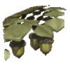 GIF animado (72910) Bellotas