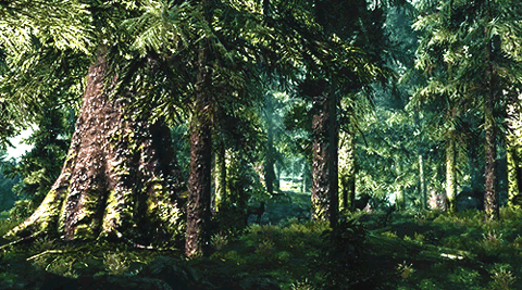 GIF animado (73317) Bosque pinos