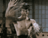 GIF animado (66477) Bruce lee artes marciales