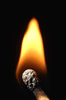 GIF animado (65792) Cabeza fosforo
