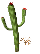 GIF animado (72922) Cactus fino