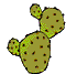 GIF animado (72923) Cactus floreciendo
