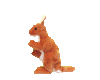 GIF animado (63988) Canguro saltando