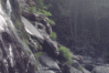 GIF animado (65896) Cascada bosque