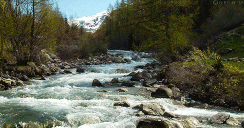 GIF animado (65901) Cascadas rio
