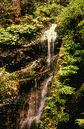 GIF animado (65907) Catarata en el bosque