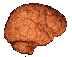 GIF animado (71089) Cerebro
