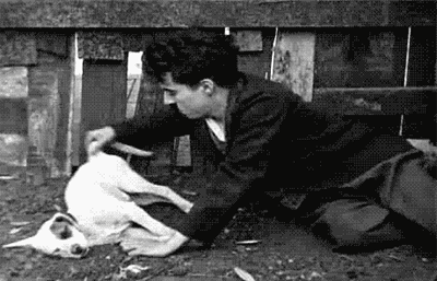 GIF animado (66496) Chaplin perro