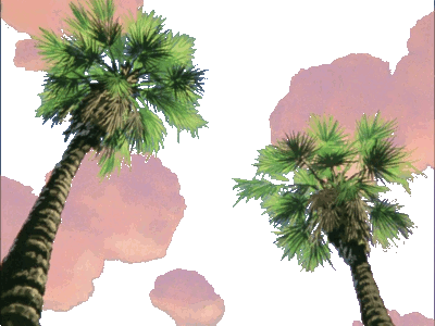 GIF animado (73296) Cielo con palmeras