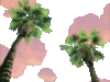 GIF animado (73296) Cielo con palmeras