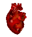GIF animado (71096) Corazon d