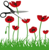 GIF animado (72944) Cortando amapolas