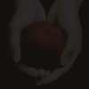 GIF animado (69853) Crepusculo