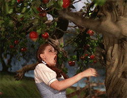 GIF animado (68807) Dorothy