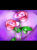 GIF animado (73148) Dos rosas rosa