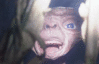 GIF animado (68187) E t el extraterrestre