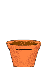 Imagen GIF de Flor creciendo maceta animado
