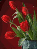 GIF animado (72972) Florero tulipanes