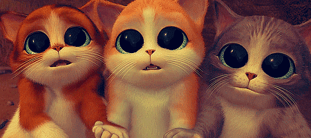 GIF animado (67950) Gatitos adorables