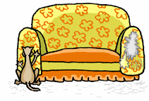 GIF animado (63785) Gato aranando sofa
