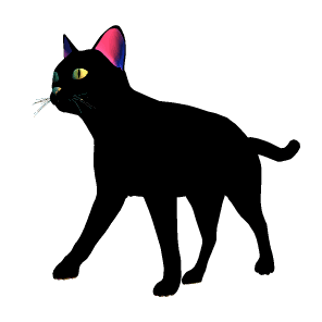 GIF animado (73761) Gato negro