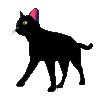 GIF animado (73761) Gato negro