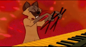 GIF animado (62838) Gato siames tocando piano palillos