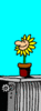 GIF animado (73007) Girasol comic