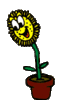 GIF animado (73012) Girasol feliz