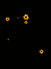 GIF animado (73019) Girasoles