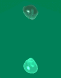 GIF animado (66173) Gota al caer en el agua