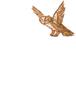 GIF animado (68895) Hedwig