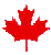 GIF animado (73230) Hoja de canada
