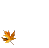 GIF animado (66291) Hoja otono