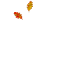 GIF animado (73245) Hojas cayendo