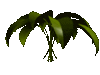 GIF animado (72875) Hojas de arbusto