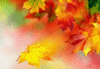 GIF animado (66292) Hojas otono