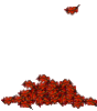 GIF animado (73252) Hojas secas