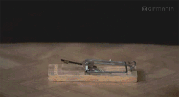 Imagen GIF de Huevo ratonera animado