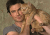 GIF animado (66608) Ian somerhalder gato