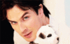 GIF animado (66618) Ian somerhalder perro