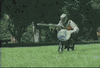 GIF animado (73806) Jackass