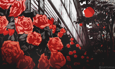 GIF animado (73172) Jardin rosas rojas
