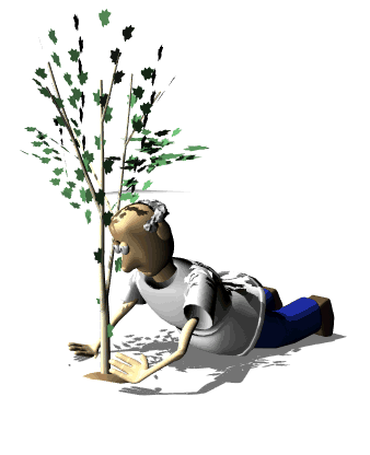 GIF animado (72059) Jardinero plantando un arbol